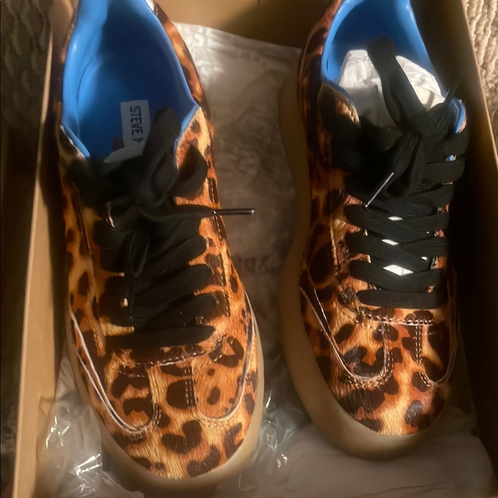 Leopard Print Sneakers with Black Laces tux-L Steve Madden